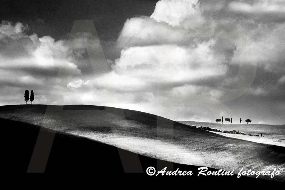 Cod.01-171 bn Torrenieri-0