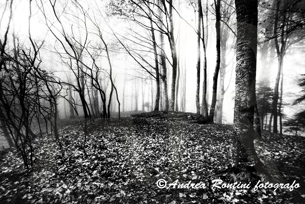 Cod.01-179 bn La Verna-0