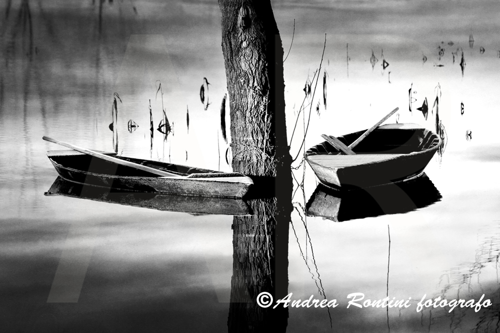 Cod.01-379 bn Padule di Fucecchio-0