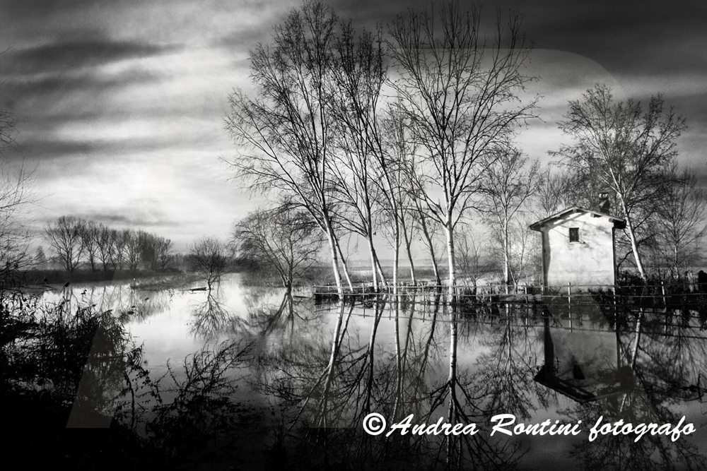 Cod.01-387 bn Padule di Fucecchio-0