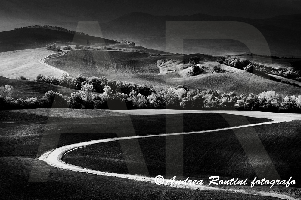 Cod.01-395 bn Val d'Orcia-0