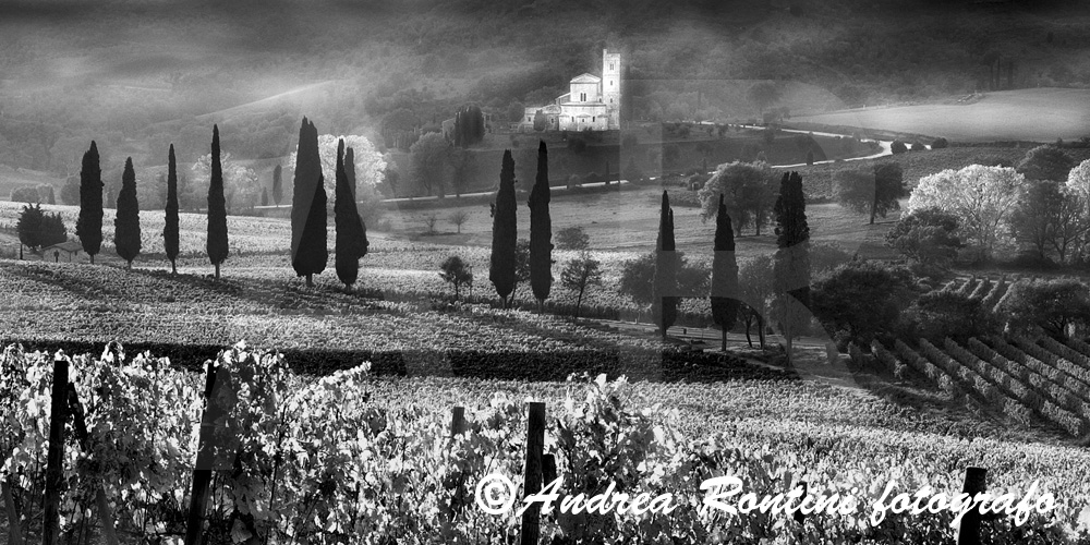 Cod.01-397 bn Abbazia di S.Antimo-0