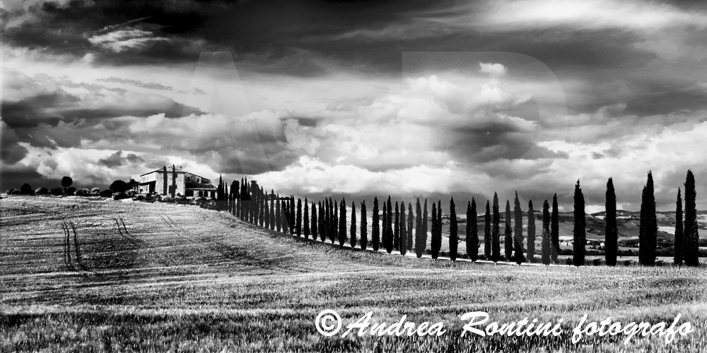 Cod.01-398 bn Val d'Orcia-0