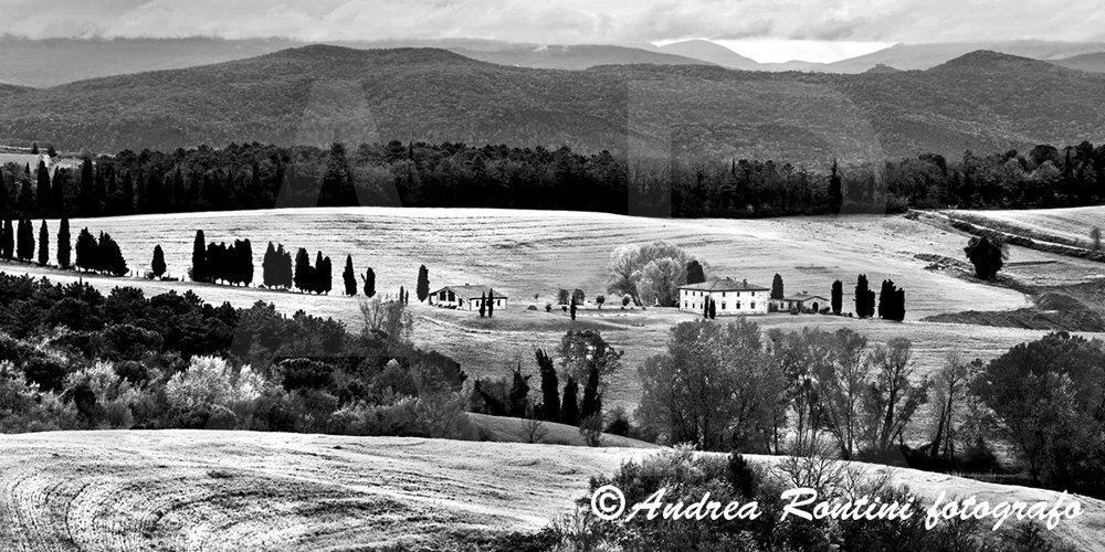 Cod.01-406 bn Val d'Elsa-0