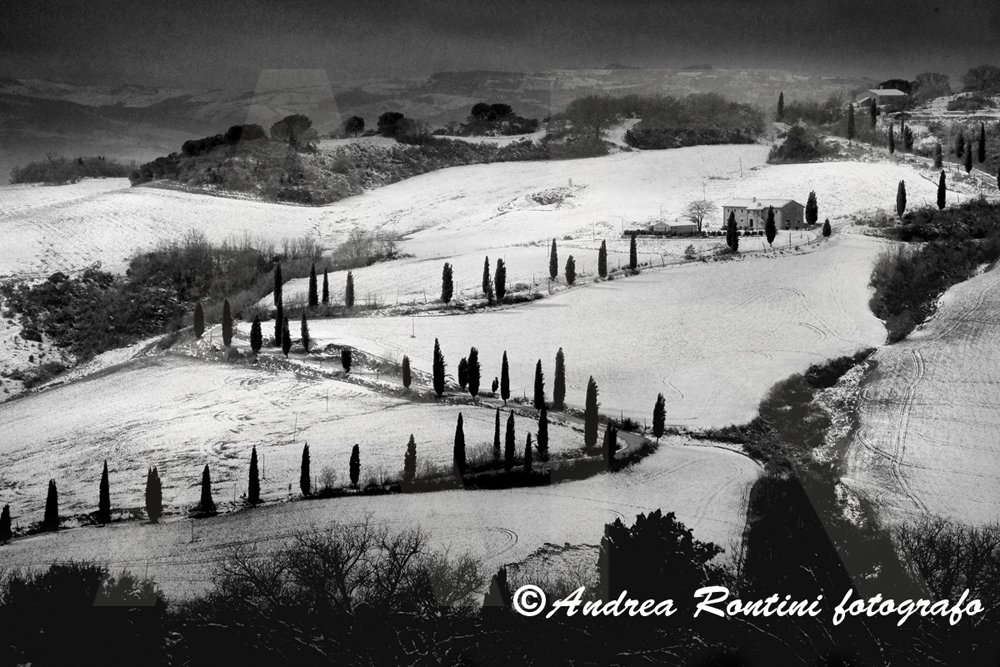 Cod.01-407 bn La Foce-0