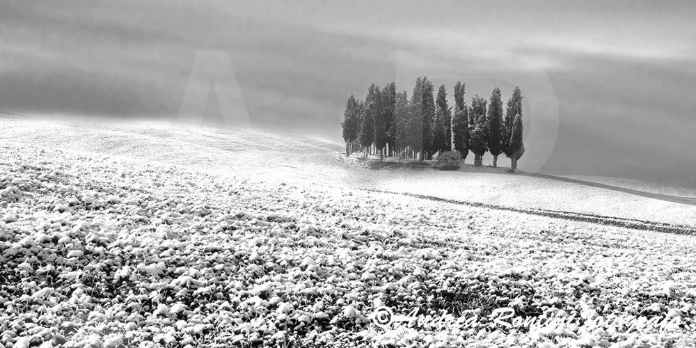 Cod.01-408 bn S.Quirico d'Orcia-0