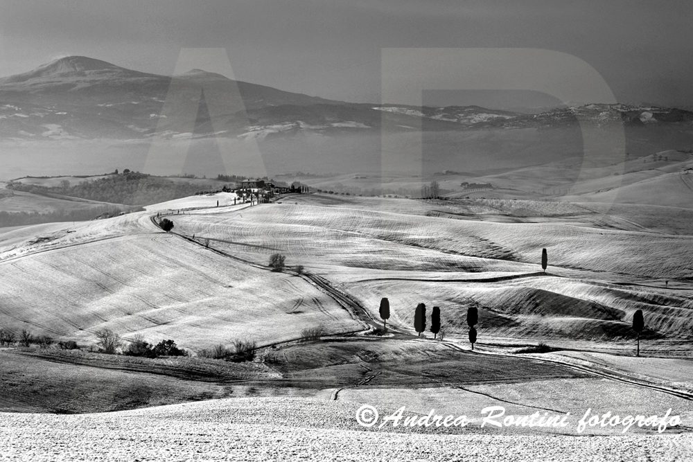Cod.01-409 bn Dintorni di Pienza-0