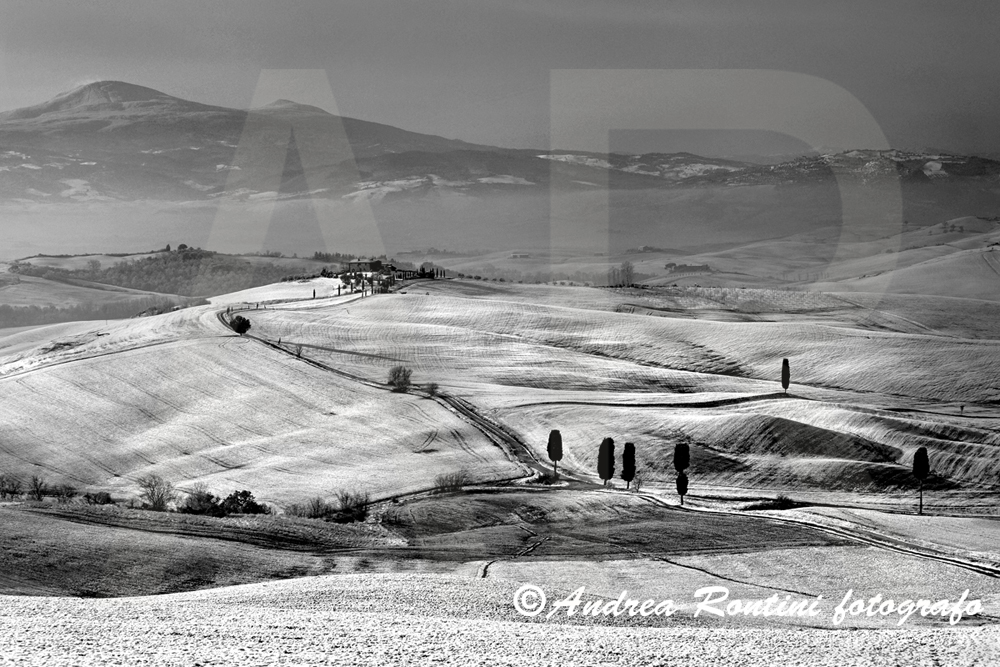 Cod.01-409 bn Dintorni di Pienza-0