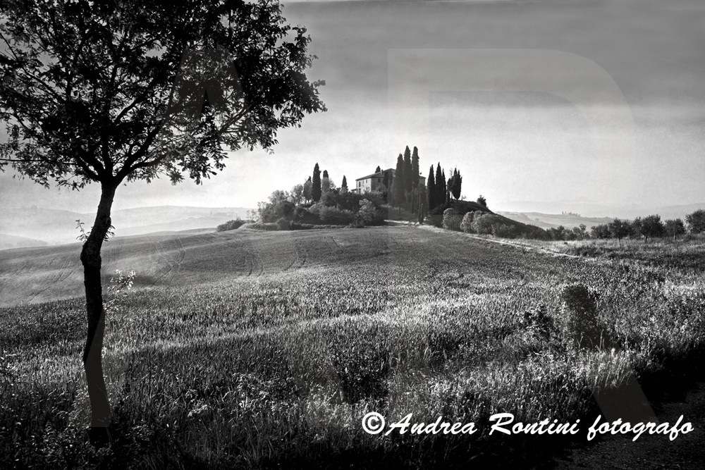 Cod.01-410 bn S.Quirico d'Orcia-0