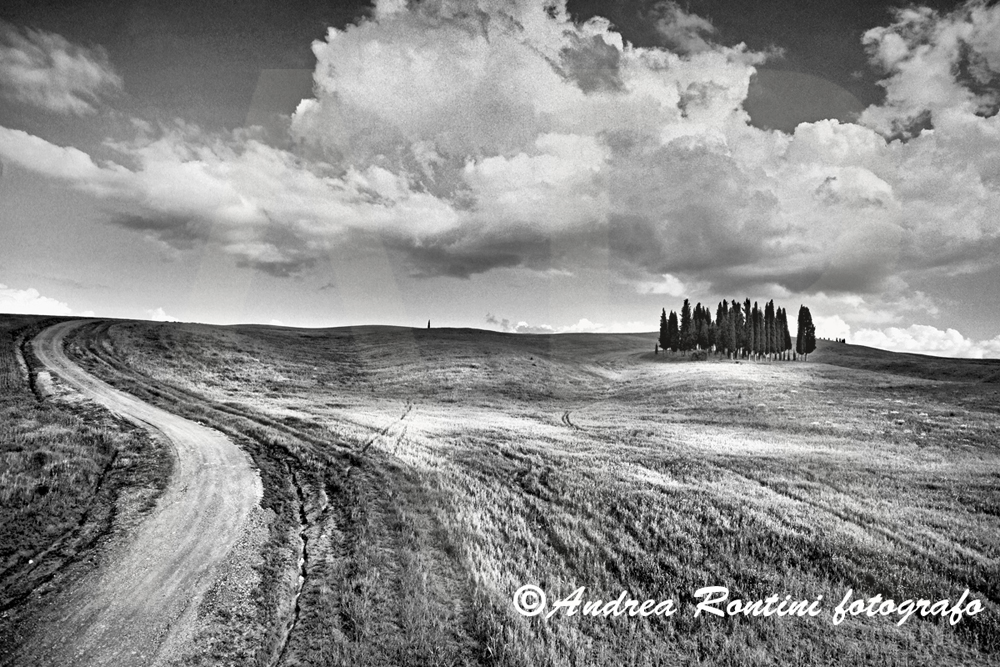 Cod.01-411 bn S.Quirico d'Orcia-0