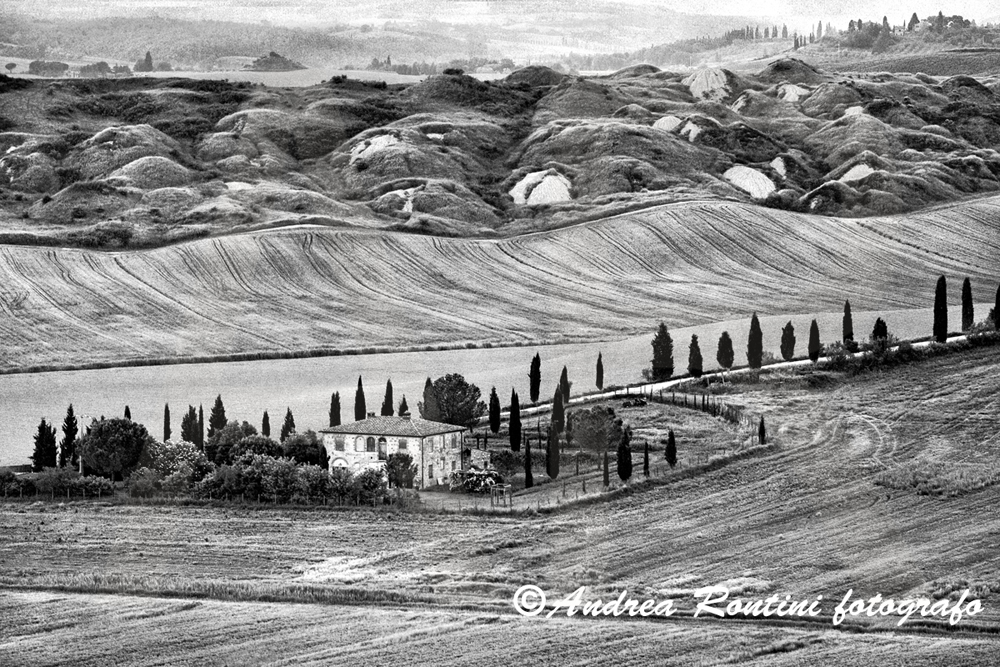 Cod.01-417 bn Crete senesi-0