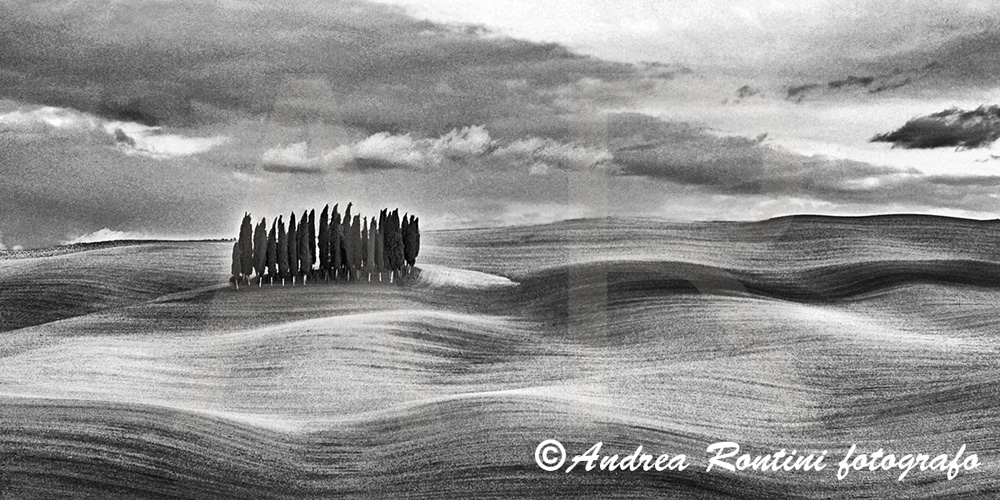 Cod.01-418 bn S.Quirico d'Orcia-0