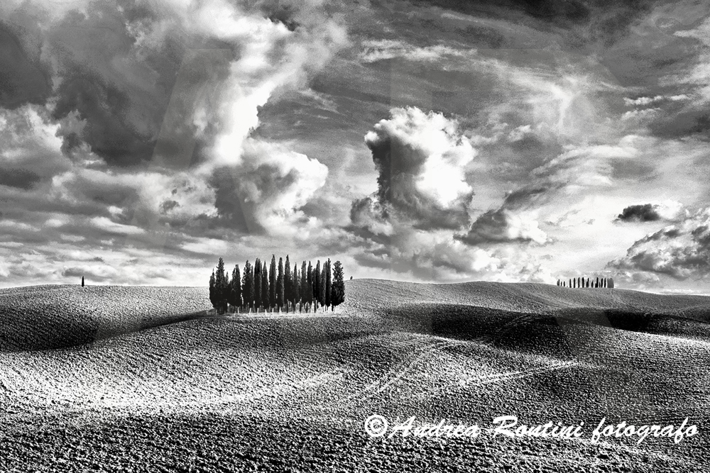 Cod.01-429 bn S.Quirico d'Orcia-0