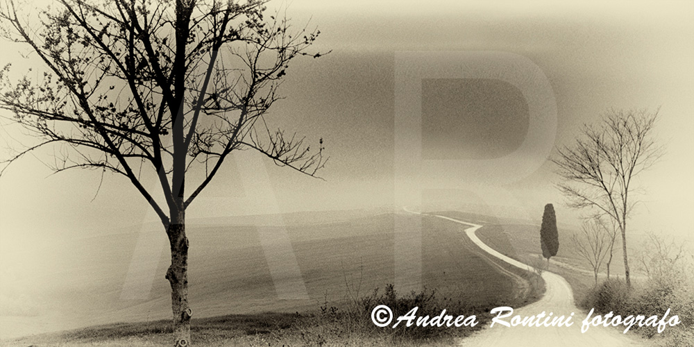 Cod.01-432 bn Ville di Corsano-0