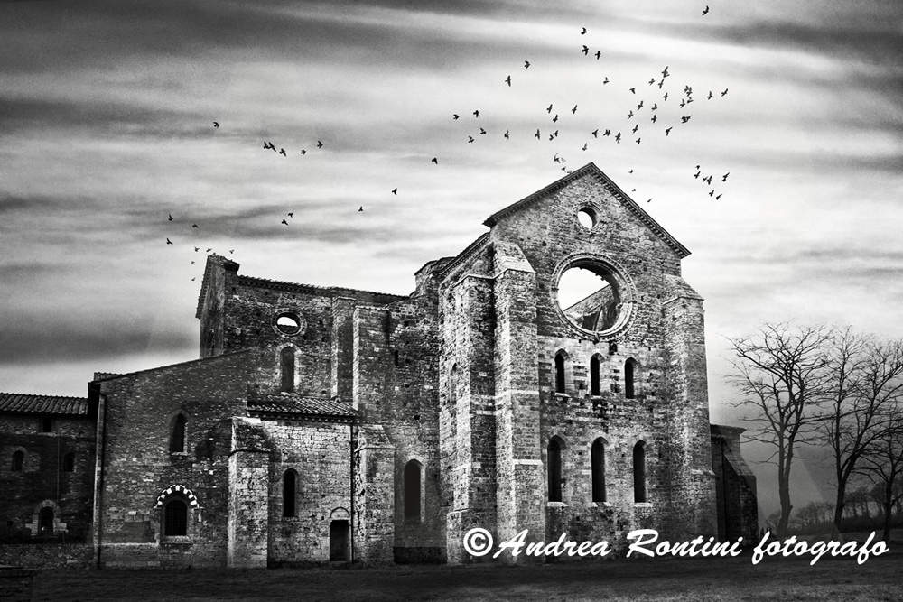 Cod.SI-342 bn Abbazia di S.Galgano-0