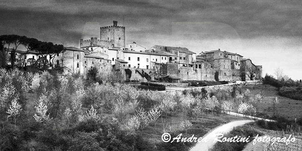 Cod.SI-374 bn Castellina in Chianti-0