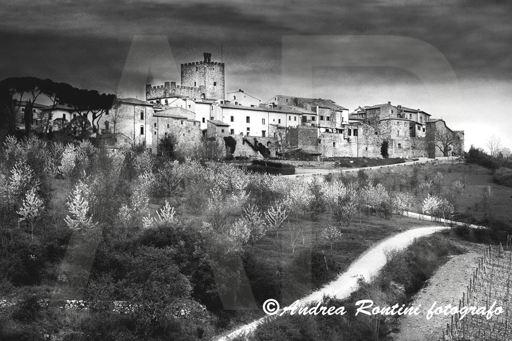 Cod.SI-374 bn bis Castellina in Chianti-0