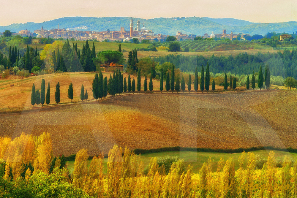 Cod.SI-317 Dintorni di Siena-0