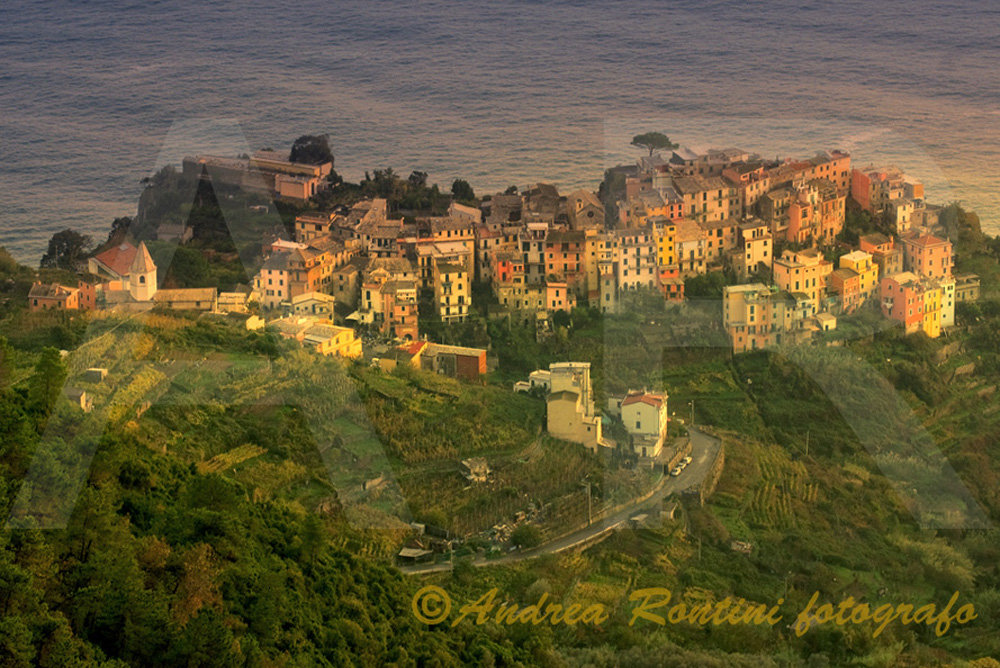 Cod.SP-25 Corniglia (Cinqueterre)-0