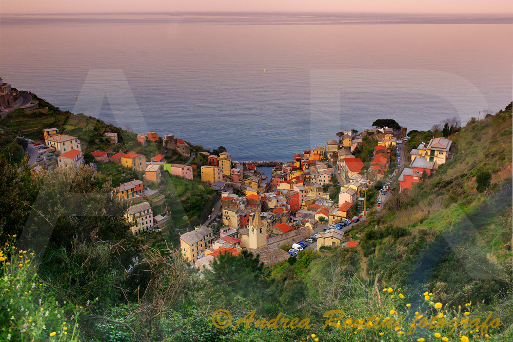 Cod.SP-35 Riomaggiore (Cinqueterre)-0