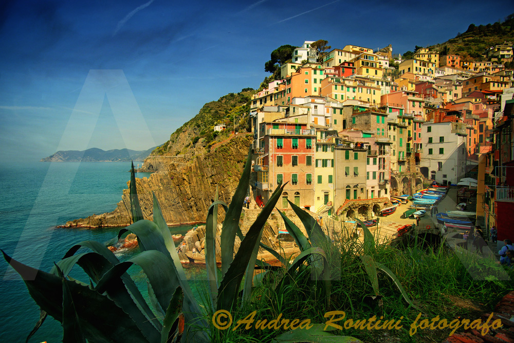 Cod.SP-36 Riomaggiore (Cinqueterre)-0