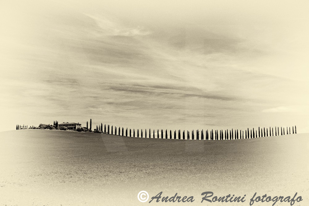 Cod.01-436 bn Val d'Orcia-0