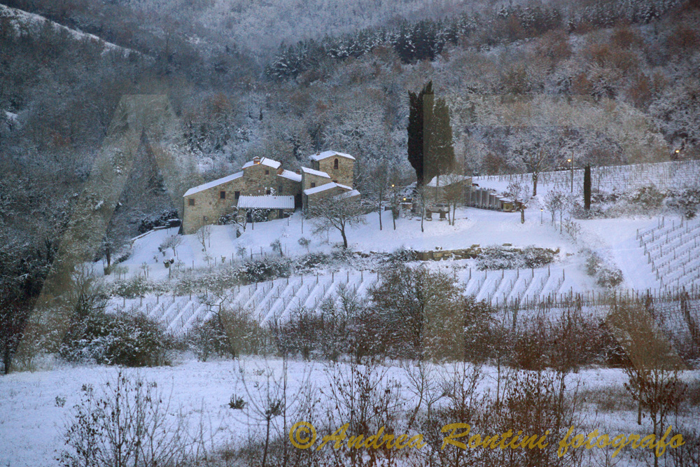 Cod.01-419 Castellina in Chianti-0