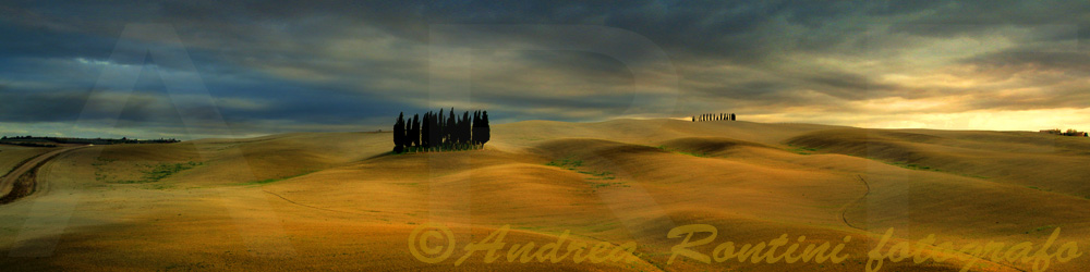 Cod.06-01 S.Quirico d'Orcia-0