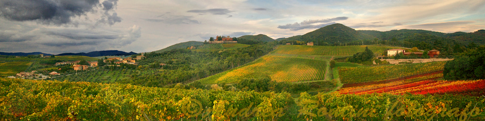 Cod.06-02 Castello di Brolio-0