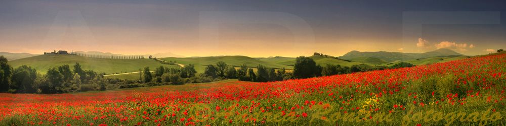 Cod.06-03 Val d'Orcia e Monte Amiata-0