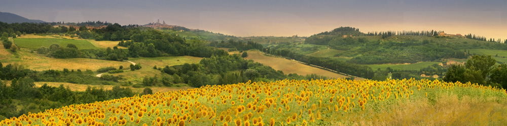 Cod.06-05 Val d'Elsa e S.Gimignano-0