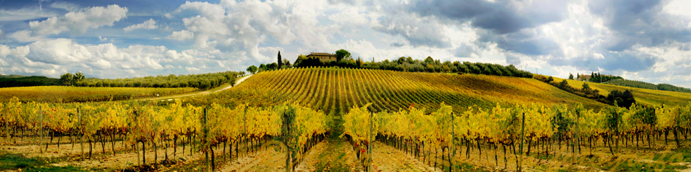 Cod.06-10 Castellina in Chianti-0