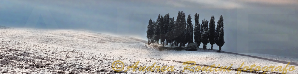 Cod.06-11 S.Quirico d'Orcia-0