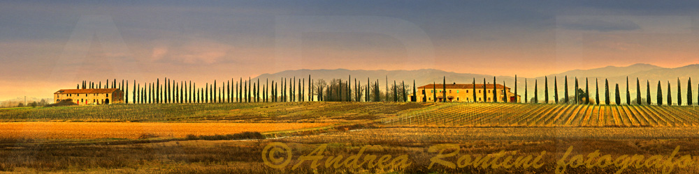 Cod.06-19 Padule di Fucecchio-0