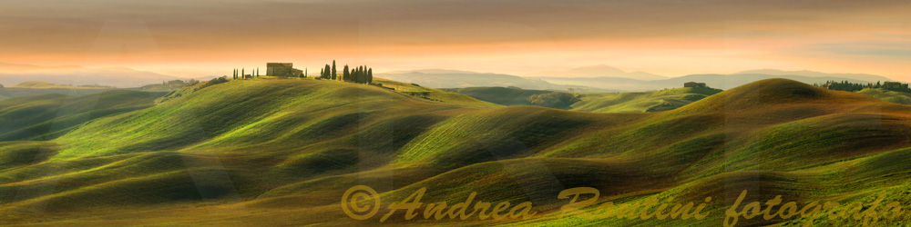 Cod.06-29 Val d'Arbia-0