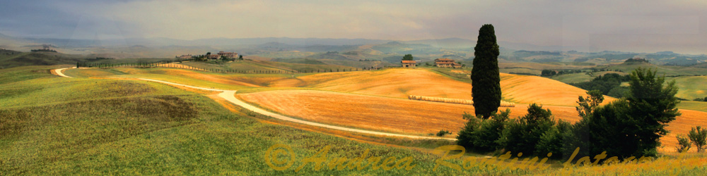 Cod.06-31 Ville di Corsano-0