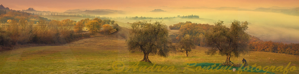 Cod.06-39 Val d'Arbia-0