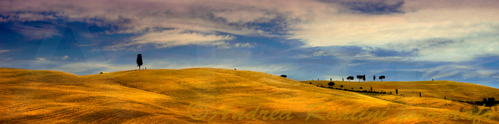 Cod.06-44 Val d'Orcia-0